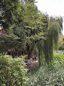 Kunming - Parc Cuihu - 46